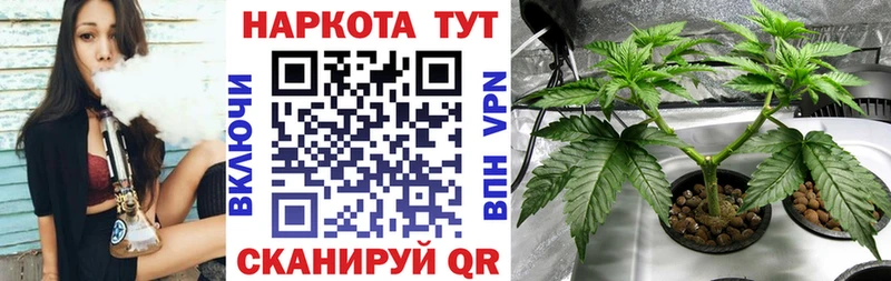 Купить ГАШ  Конопля  Псилоцибиновые грибы  АМФ  Меф  Alpha PVP  Кольчугино