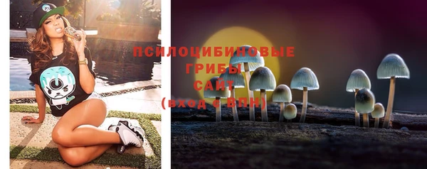 альфа пвп Бугульма