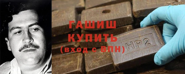 дмт Бородино