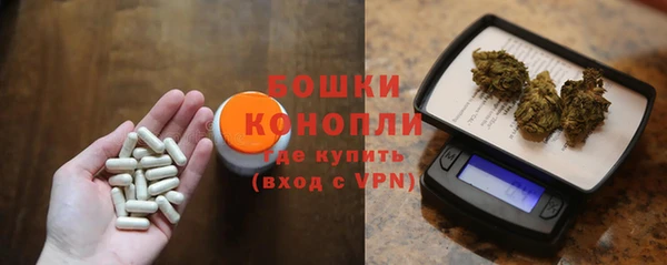 дмт Бородино