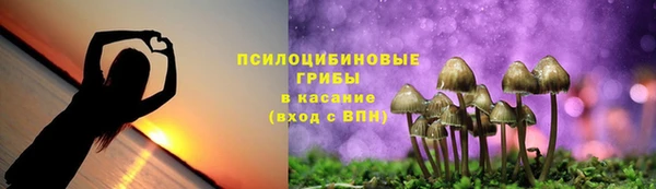 дмт Бородино