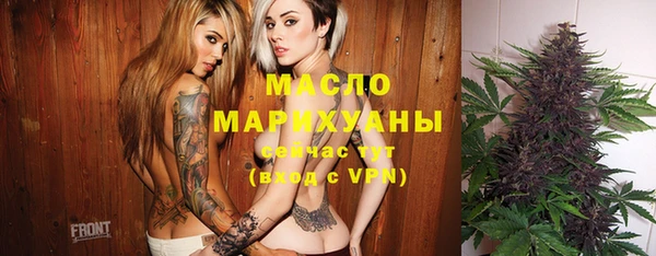 дмт Бородино