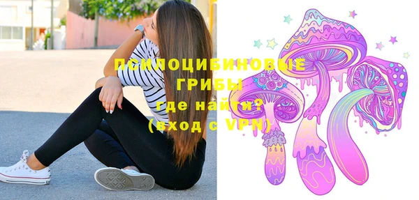 дмт Бородино