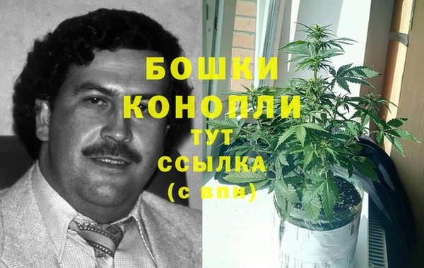 тгк Переславль-Залесский