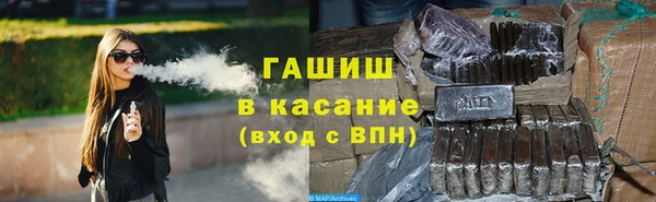 дмт Бородино